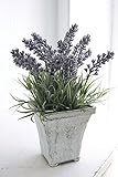 COVENT GARDEN（コベントガーデン） ラベンダースクエアポット 造花 人工観葉植物 TG-13 【まとめ買い×6セット】