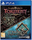 Planescape: Torment & Icewind Dale Enhanced Edition (Compatible with PS4) (輸入版）