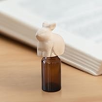 51CnP3BJrHL._AC_UL210_SR210,