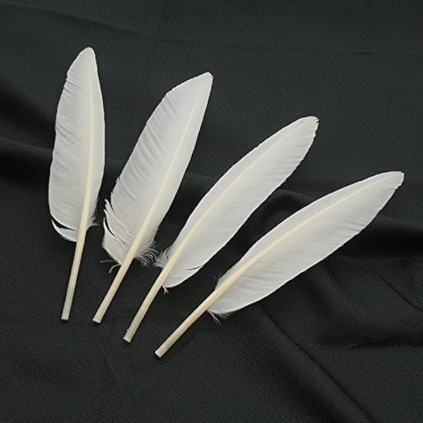 Amazon.co.jp: [紗や工房] チャーム 金具付きフェザー 本物の羽 70mm