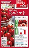 タキイ種苗 リコピンリッチ ミニトマト CF千果