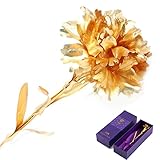 Eternalカーネーション花、精巧な手作り24 K Gold Dipped人工カーネーション花Golden Foilカーネーションwithギフトボックス最高のギフト、母の日、記念日、バレンタインデー