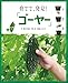育てて、発見! 「ゴーヤー」 育てて、発見! 「ゴーヤー」