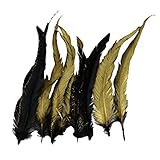 Lovoski 人造羽毛　お飾り　髪デザイン　DIY工芸品　アクセサリー　ブラックゴールド　25~30cm10枚