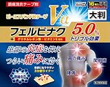 【第2類医薬品】ビーエスバンFRテープVα大判 16枚