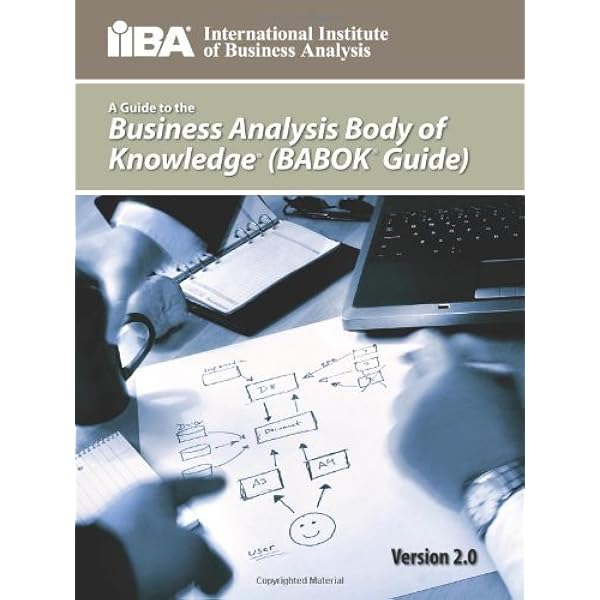 Guide To The Business Analysis Body Of Knowledge R Babok R Brennan Kevin Amazon Com Au Books