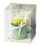 Paseo クリアケース入り プリザーブドフラワー マグフラワー グリーン 10.5×10.5×H13cm SG-110A