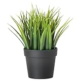 IKEA(イケア) FEJKA 10214487 人工観葉植物, グラス