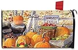 Harvest Farm Fall Magnetic Mailbox Cover Pumpkins Apples Standard Briarwood Lane [並行輸入品]