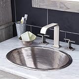 Native Trails CPS Oval Bathroom Sink [並行輸入品]
