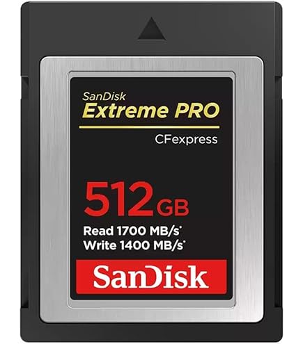 LEXER コンパクトフラッシュメモリー　512M LEXER コンパクトフラッシュメモリー 512M Amazon | Lexar