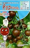 【種子】 ミニトマト チョコちゃん トキタのタネ