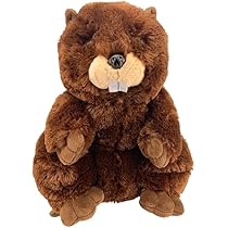 51Cr9MxahGL._AC_UL210_SR210,