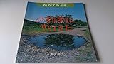 みずたまりにやってきた　月刊かがくのとも　2004/9
