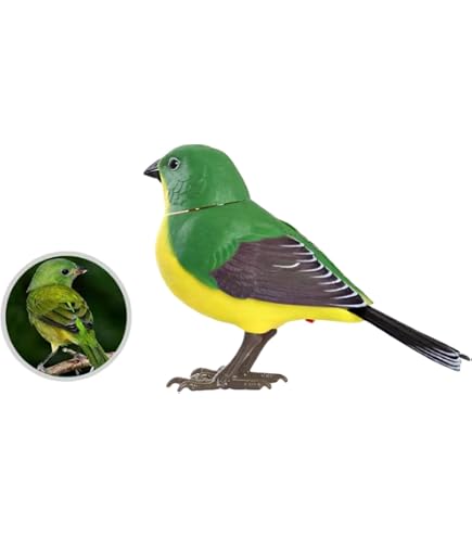Amazon.co.jp: 音声制御シミュレーション鳥 かわいい 鳥のさえずり