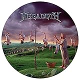 YOUTHANASIA [LP] (PICTURE DISC) [Analog]