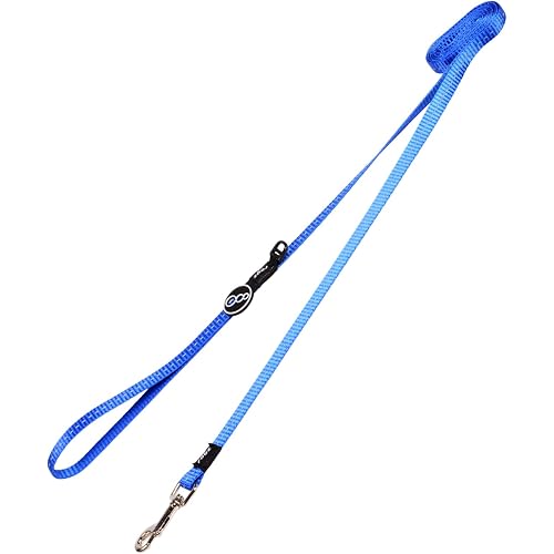 Rogz Classic Reflective Dog Lead Blue Small