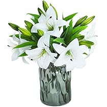 51CuREEq5PL._AC_UL210_SR210,