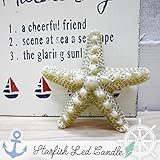 インテリア＆ガーデニング雑貨 ロウ使用 スターフィッシュ型LEDキャンドル ヒトデ STARFISH