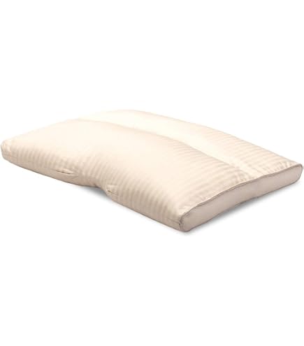2点まとめ買い可】Sealy ソロテックス 枕 60×42×4cm Amazon｜Sealy(