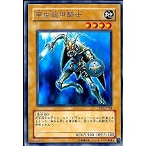 遊戯王引退 2デッキ＋スリーブ  聖騎士 甲虫装機 遊戯王引退 デッキ2＋スリーブ 聖騎士 甲虫装機