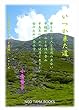 いつか来た道: 人と自然とちょっと冒険 (NGO TAMA BOOKS)
