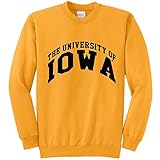 NCAAクルーネックスウェットシャツ L イエロー