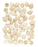 東京堂 ドライフラワー  カラマツ (50コ入り) ホワイト DT066183