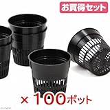 ハイドロプラントポット (外径4.0×底径3.0×高さ3.6cm・0.03リットル) お買い得100ポット