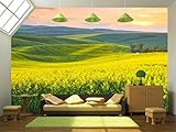 wall26 - 粘着式壁紙 大きな壁画シリーズ 100"x144" WMR-WP-X-C652-100x24x6