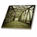 3drose Scenes from the Pastマジックランタン – 145th Street Bridge Harlem川New York Cityビンテージ1885 – タイル 8-Inch