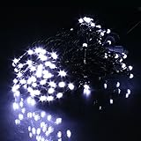 電光ホーム イルミネーション ストレート 10m 100球 ホワイト ブラックケーブル