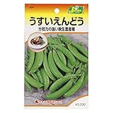 カネコ種苗  野菜タネハイクオリティ うすいえんどう 10袋セット 304