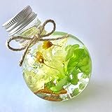 ハーバリウム 黄 緑