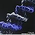 DNA（CD＋Blu-ray盤）