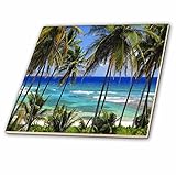 島Swag Designsトロピカル – Tropical日シーンwith Swaying Palm Trees and Glimpsesのブルーオーシャン – タイル 4" ブルー ct_17329