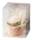 Paseo クリアケース入り プリザーブドフラワー ケークフラワー ピンク 8×8×H10cm SG-106A