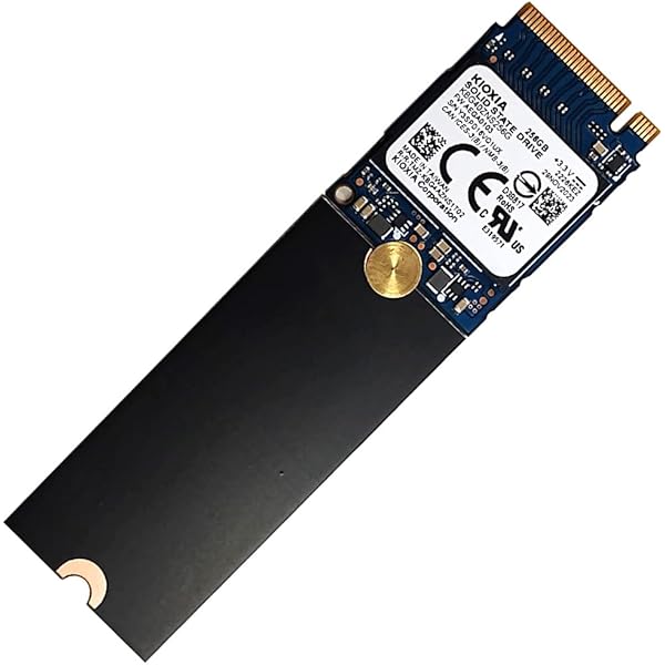 Amazon.co.jp: OEM Kiox 256GB M.2 PCI-e NVME SSD 内蔵ソリッド