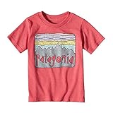 (パタゴニア)patagonia Baby Fitz Roy Skies Cotton/Poly T-Shirt 60413 Cerise (CIE) 3T