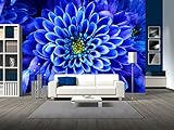 wall26 – 緑のクリーパーPlant on aホワイト壁で美しい背景 – 取り外し可能な壁の壁画|自己粘着Large壁紙- - - - - - - 66"x96" WMR-WP-X-DC40-6