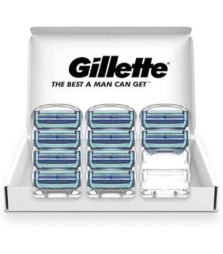 Gillette ジレット スキンガード 電動タイプ 替刃