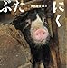 ぶたにく ぶたにく