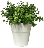 エメラルド 造花 観葉植物 ボックスウッドブッシュ ホワイトポット 10.838M