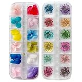 atrico（アトリコ）ドライフラワー レースフラワー＆紫陽花 各12色セット/ レジン・ハンドメイド ・ネイル ・手芸に ネイルキット