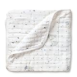 【日本正規品】(エイデンアンドアネイ)aden+anais モスリン ドリーム ブランケット 4枚重ね 1枚入り aa-mus-dream1p ギフト 出産祝い[6026][6027][6029][6