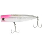 Amazon | 【ダイワ】24セルテート FC LT2000S-P - LT5000D-XH用