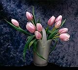 2個チューリップ球根（種子チューリップません）リリー鉢植えの色のチューリップ新鮮な球根ルート盆栽花球茎ホームガーデン植え