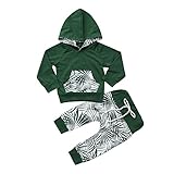 (プタス)Putars ベビー服 子供服 上下セット パーカー 男の子 長袖 葉柄 二色 可愛い 秋 冬 運動服 旅行 記念日 プレゼント 6-24ヶ月