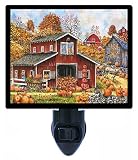 Night Light – Pick Your Own Pumpkins – バーン – ファーム – Fall – 秋