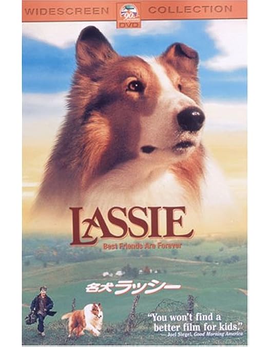 Amazon.co.jp: 名犬ラッシー ラッシーの勇気(Courage of Lassie) ［DVD